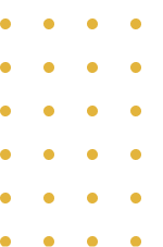 Golden Vision Finance