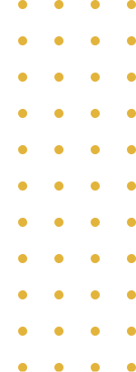 Golden Vision Finance